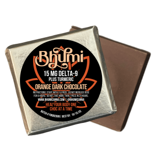 Orange Dark Chocolate Pain Mini Square